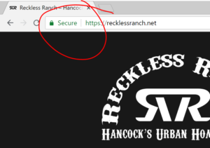 Image Showing HTTPS infront of RecklessRanch.net