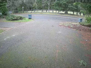 CCTV photo of our driveway.