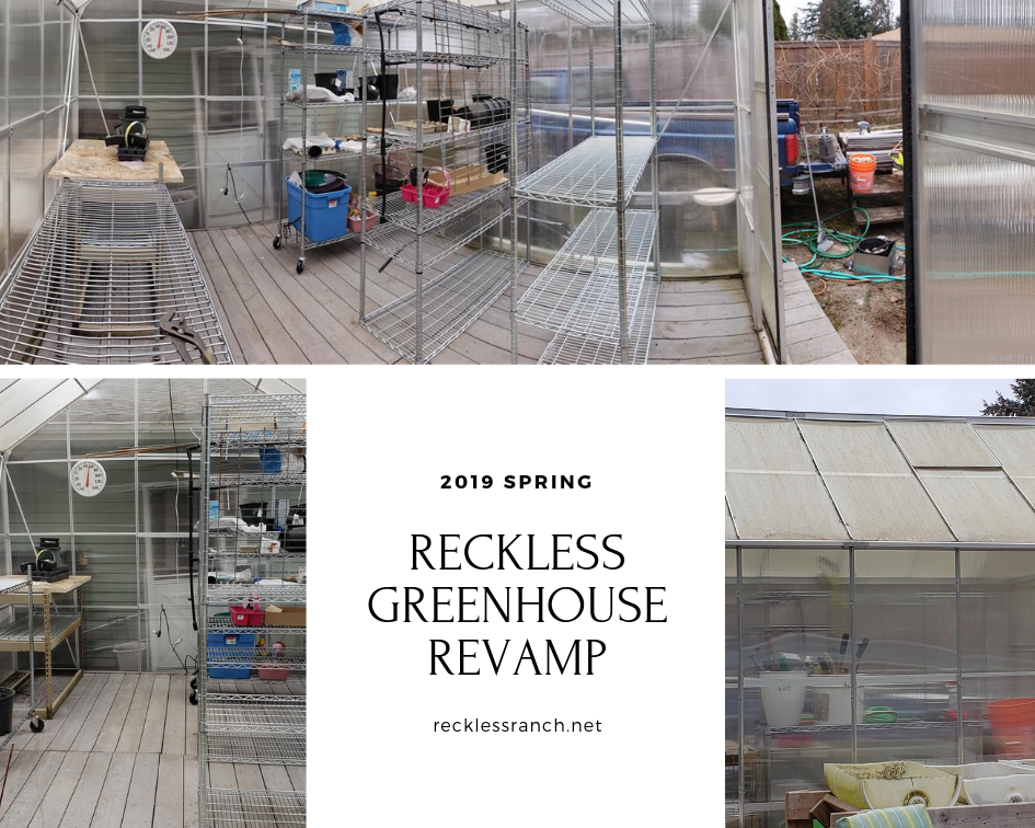 Greenhouse Revamp